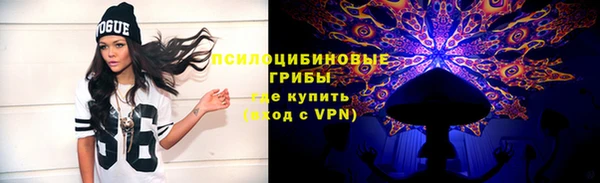 mdpv Инсар