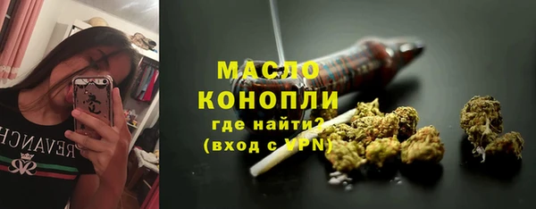 mdpv Инсар