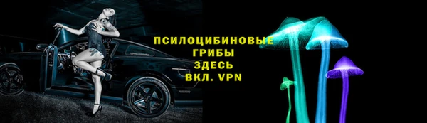 mdpv Инсар