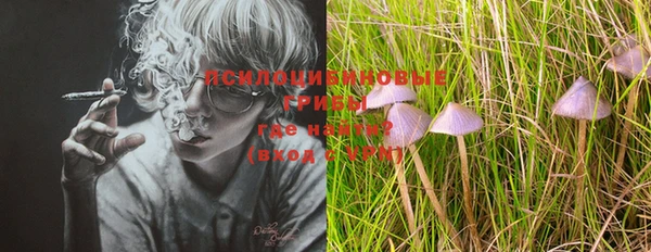 тгк Иннополис